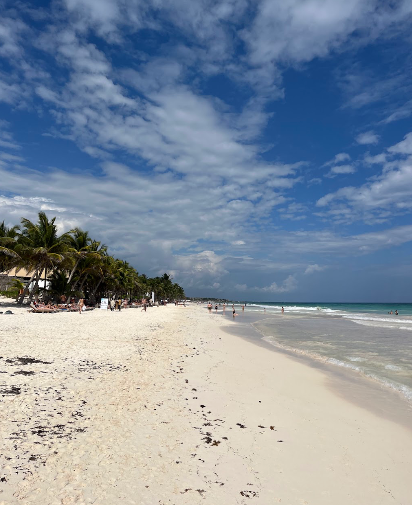 TULUM RECCS